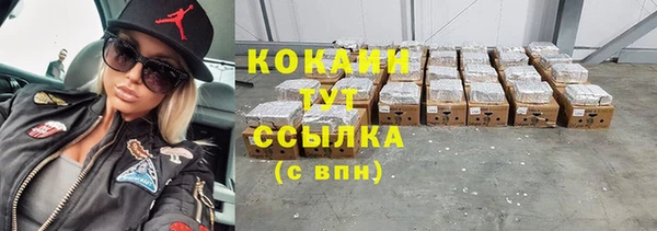 дживик Алексин