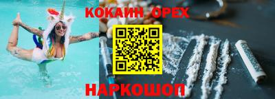крисы Новокубанск