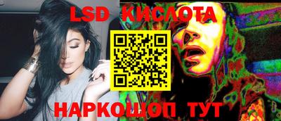 крисы Новокубанск