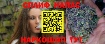 mdpv Новодвинск