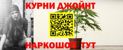 крисы Новокубанск
