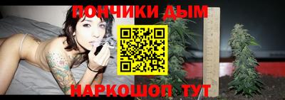 крисы Новокубанск