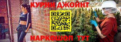 крисы Новокубанск