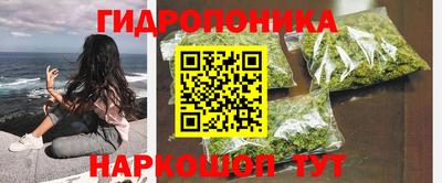 mdpv Новодвинск