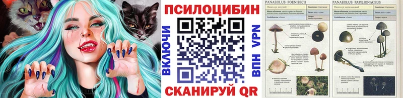Псилоцибиновые грибы GOLDEN TEACHER Лобня