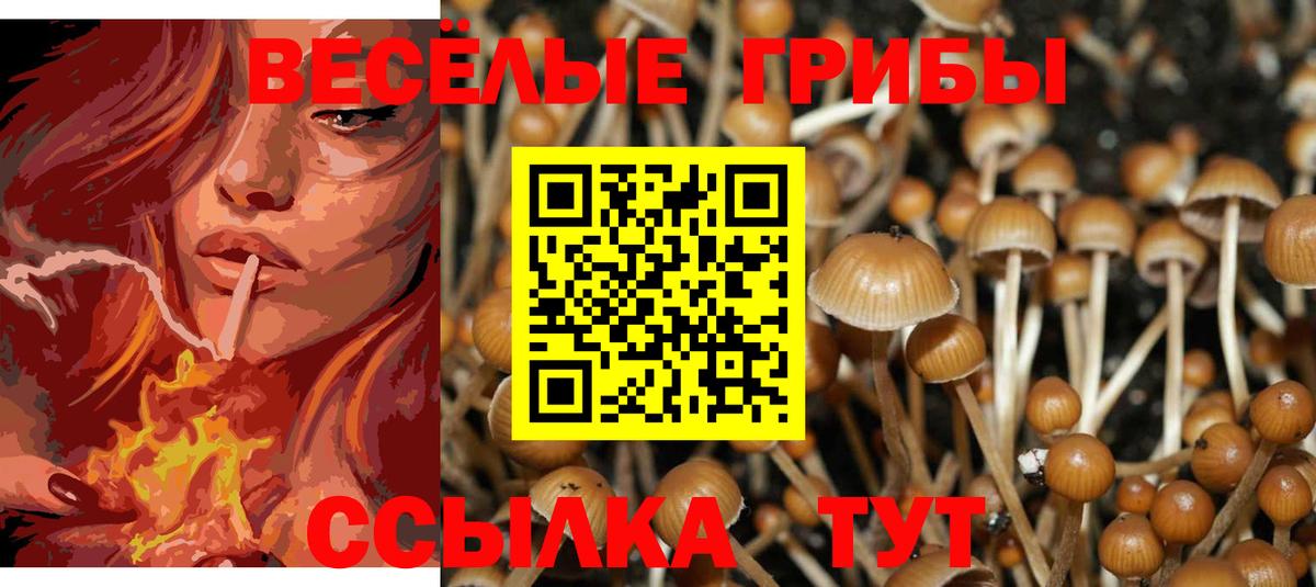 Галлюциногенные грибы Magic Shrooms  Вход с VPN  Лобня  Псилоцибиновые грибы Cubensis 
